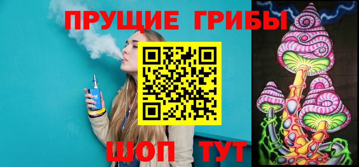 Ипатово  Псилоцибиновые грибы Psilocybine cubensis  Вход с VPN 